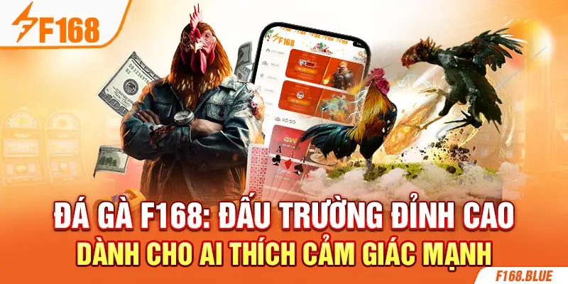 Đá Gà F168: Đấu Trường Đỉnh Cao Dành Cho Ai Thích Cảm Giác Mạnh