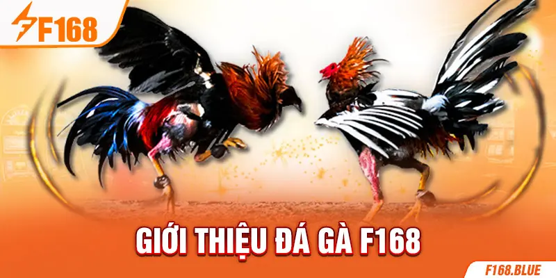 Giới thiệu đá gà F168