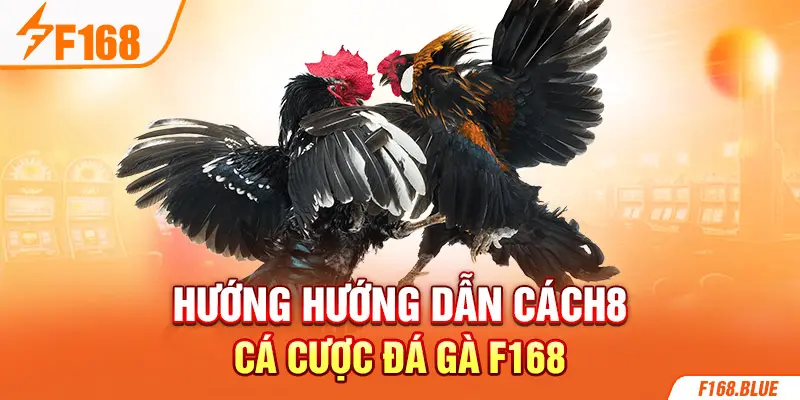 Hướng hướng dẫn cách cá cược đá gà F168