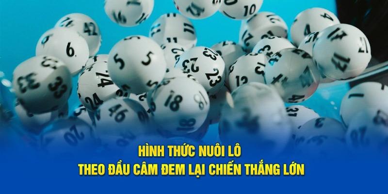 Hình thức nuôi lô theo đầu câm đem lại chiến thắng lớn