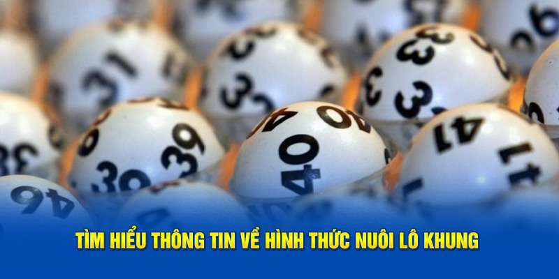 Tìm hiểu thông tin về hình thức nuôi lô khung